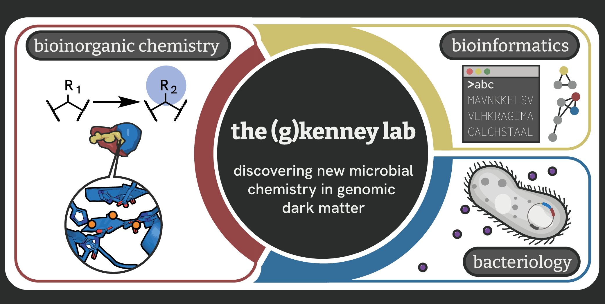 an image representing the core research interests of the (g)kenney lab: bio(inorganic) chemistry, bacteriology, and bioinformatics.