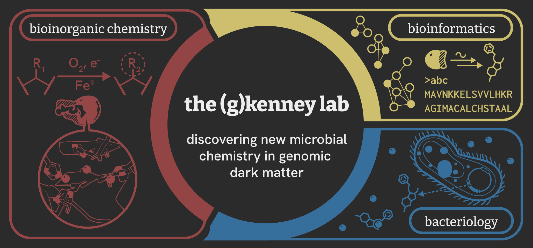 an image representing the core research interests of the (g)kenney lab: bio(inorganic) chemistry, bacteriology, and bioinformatics.